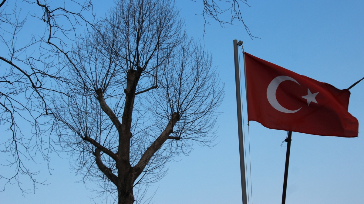 Akyazı’da asırlık çınar ağaçları kurumaya başladı; Vatandaş tedirgin