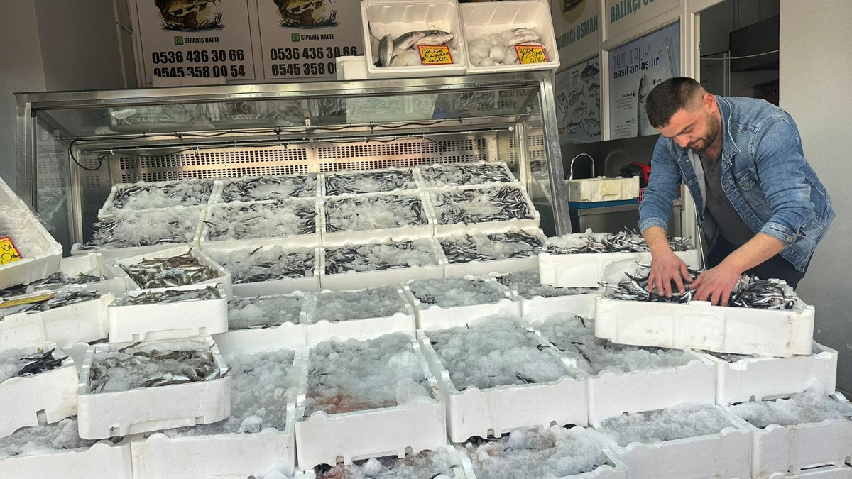 Akyazı’da Hamsi Fiyatında Şok! Tazelikte Lider Balıkçı Osman