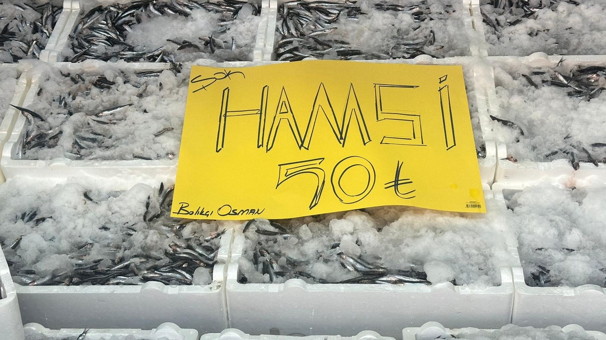 Akyazı’da Hamsi Fiyatında Şok! Tazelikte Lider Balıkçı Osman