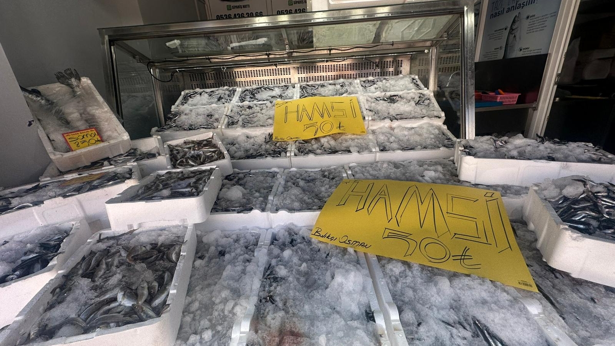 Akyazı’da Hamsi Fiyatında Şok! Tazelikte Lider Balıkçı Osman