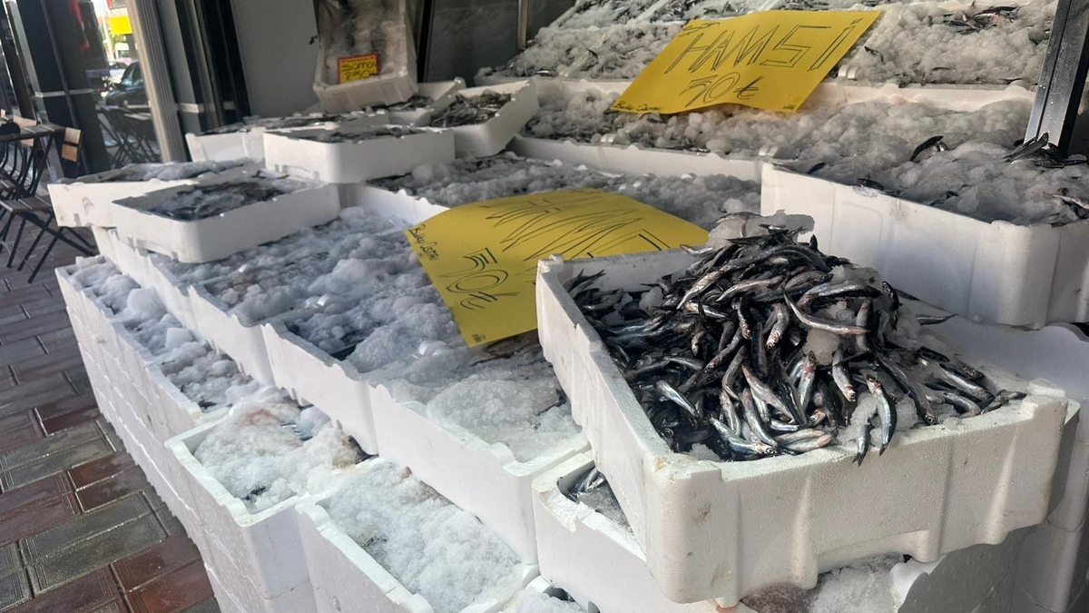 Akyazı’da Hamsi Fiyatında Şok! Tazelikte Lider Balıkçı Osman