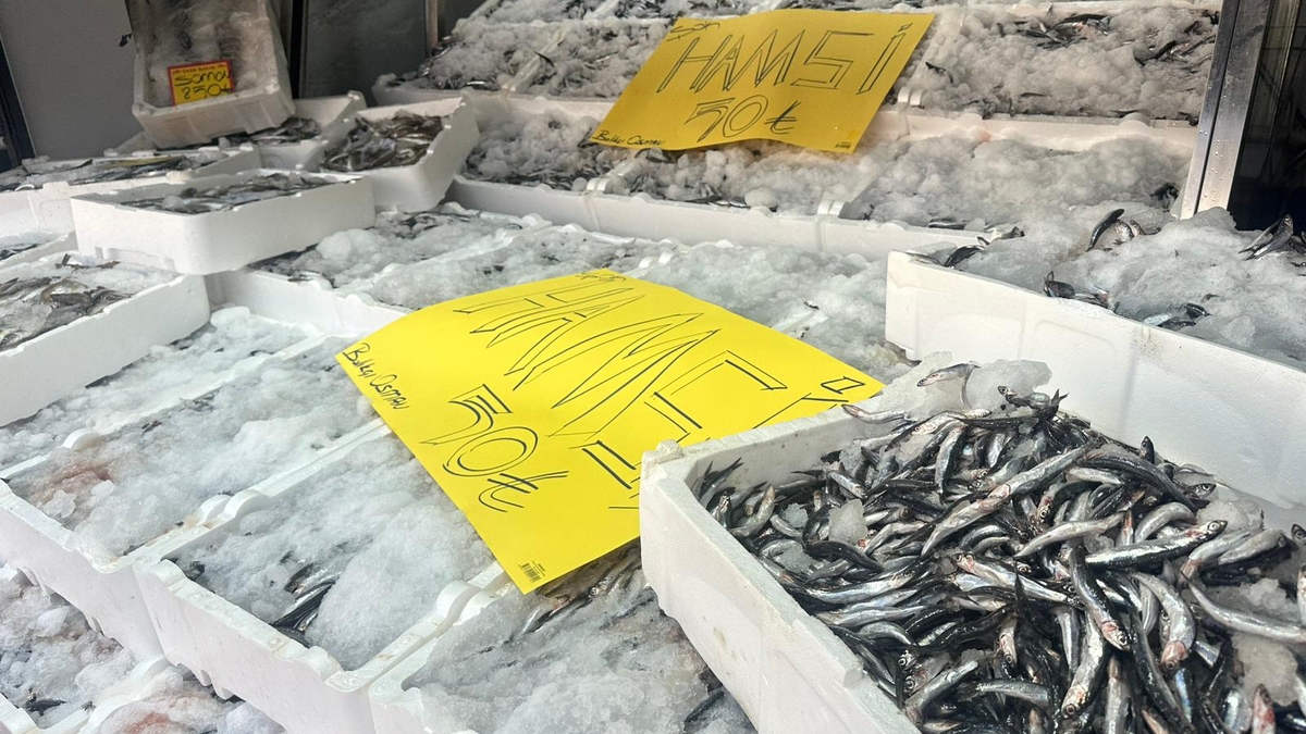 Akyazı’da Hamsi Fiyatında Şok! Tazelikte Lider Balıkçı Osman