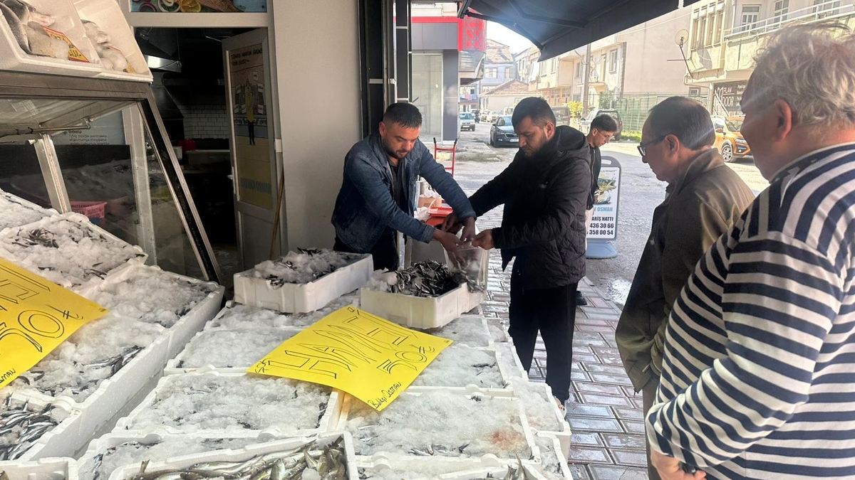 Akyazı’da Hamsi Fiyatında Şok! Tazelikte Lider Balıkçı Osman