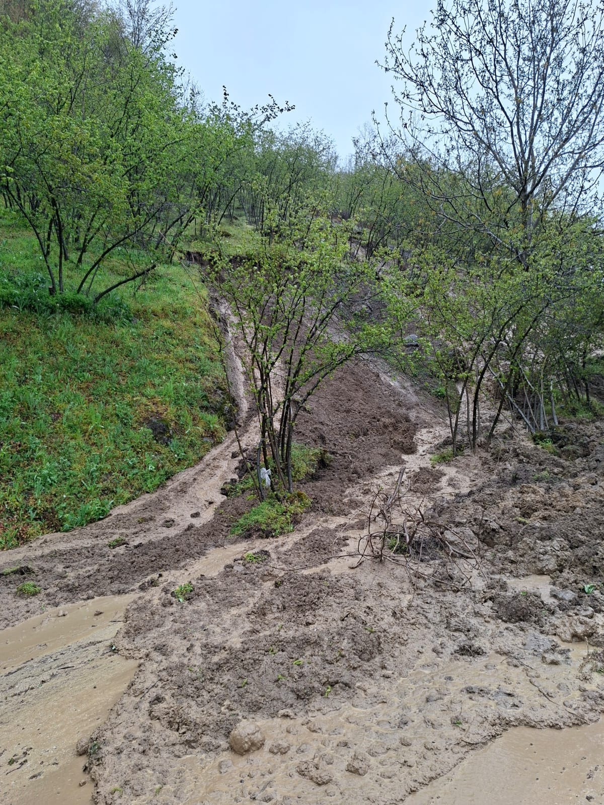Akyazı’da Heyelan Alarmı: Muhtardan evden çıkmayın uyarısı