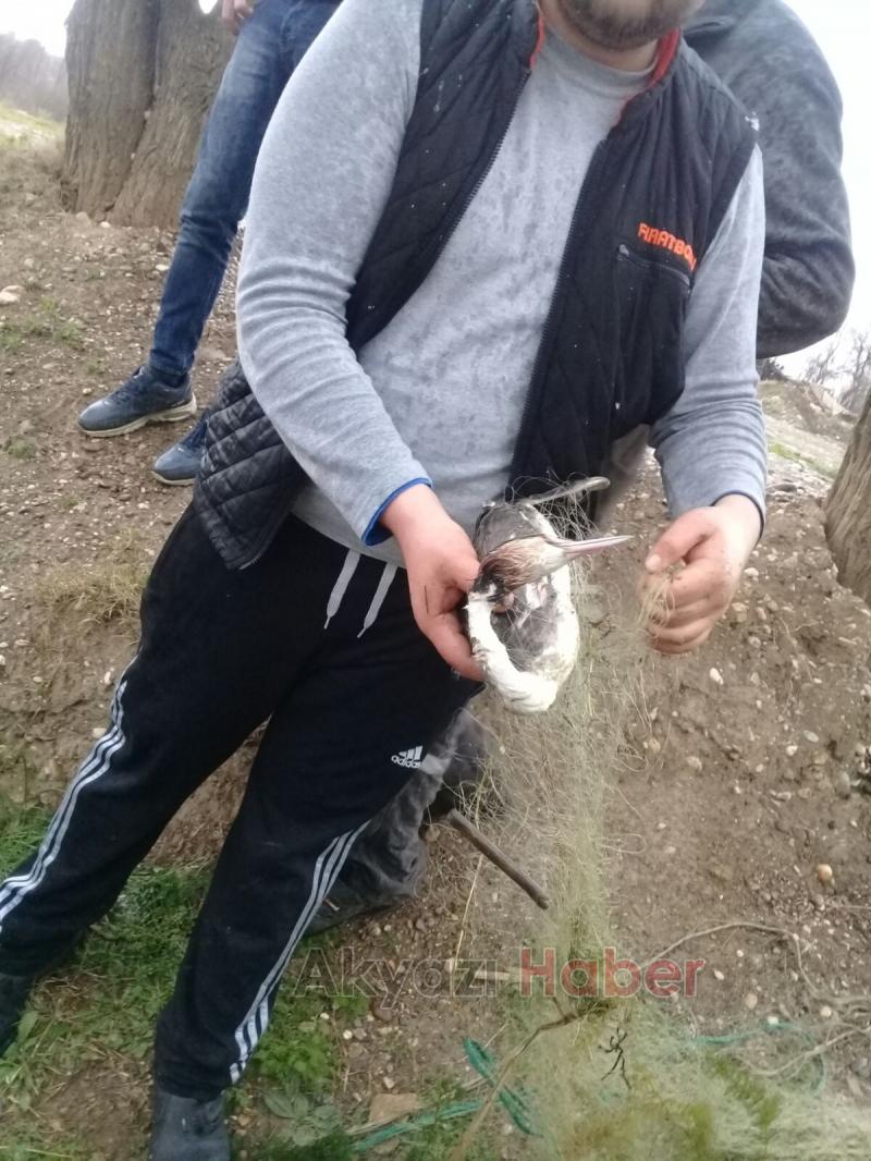 Akyazı’da Kaçak Avcılara Jandarma Dur Dedi