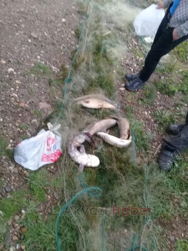 Akyazı’da Kaçak Avcılara Jandarma Dur Dedi