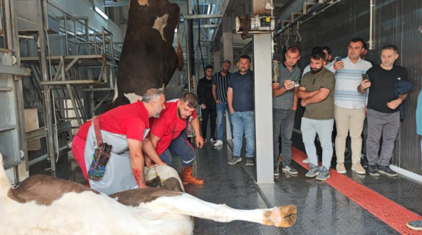 Akyazı’da Kurban Kesim Elemanı kursu açılıyor; Detaylar açıklandı