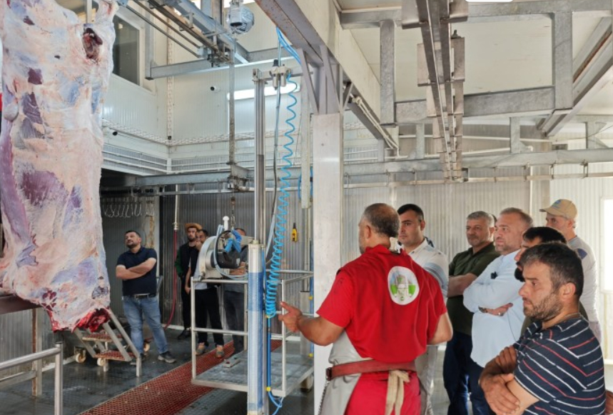 Akyazı’da Kurban Kesim Elemanı kursu açılıyor; Detaylar açıklandı