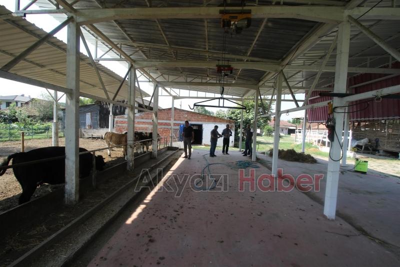 AKYAZIDA KURBAN KESİM YERLERİ DENETİMDE