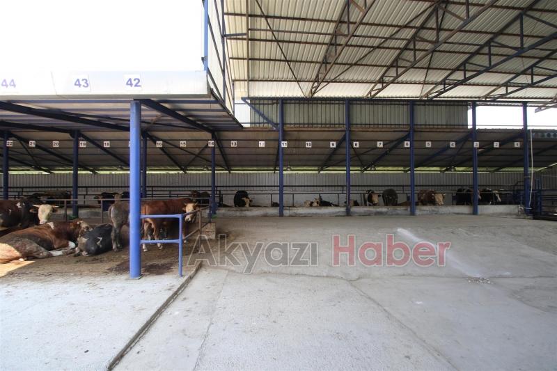 AKYAZIDA KURBAN KESİM YERLERİ DENETİMDE