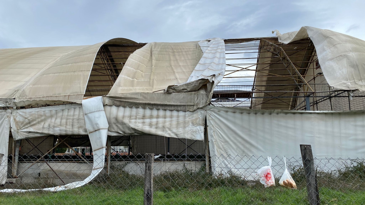 Akyazı’da Kuvvetli Rüzgar Hayatı Olumsuz Etkiledi