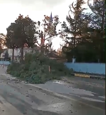 Akyazı’da Kuvvetli Rüzgar Hayatı Olumsuz Etkiledi