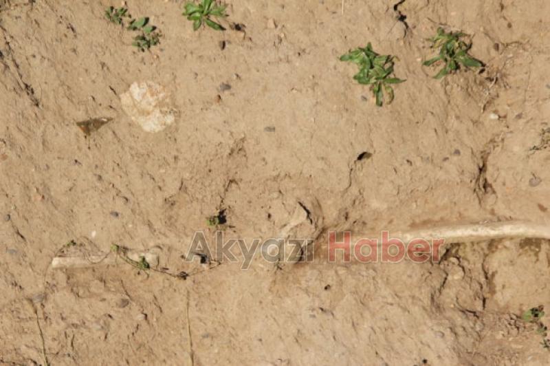 Akyazı'da Tarihi Mezarlar Ortaya Çıktı