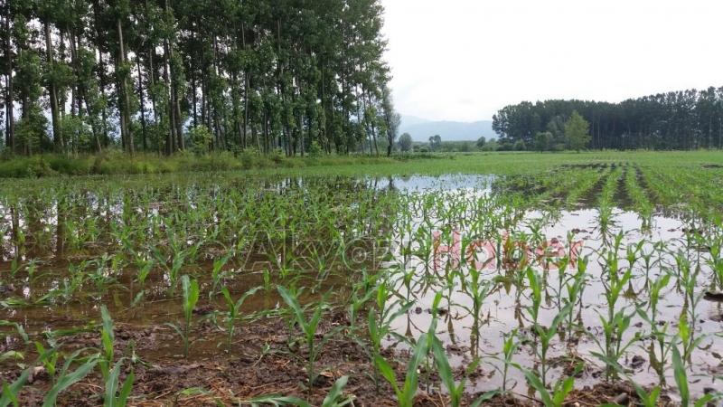 Akyazıda Tarım Arazileri Sular Altında Kaldı