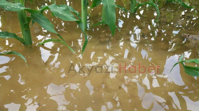 Akyazıda Tarım Arazileri Sular Altında Kaldı