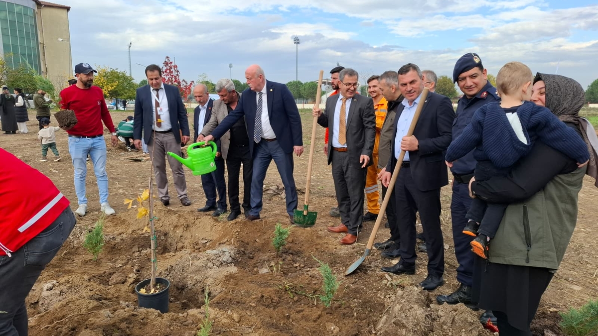 Akyazı’da Yeşil Vatan Seferberliği: 400 Fidan Toprakla Buluştu