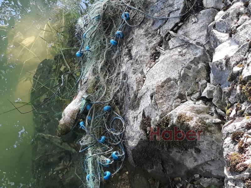 Akyazılı Balıkçılar Sülüklü Göl'de ağları topladı