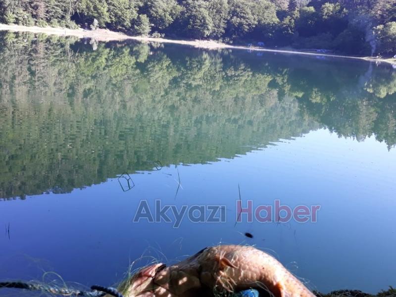 Akyazılı Balıkçılar Sülüklü Göl'de ağları topladı