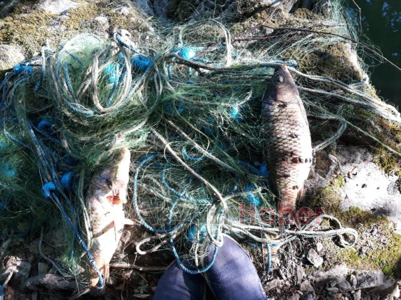 Akyazılı Balıkçılar Sülüklü Göl'de ağları topladı