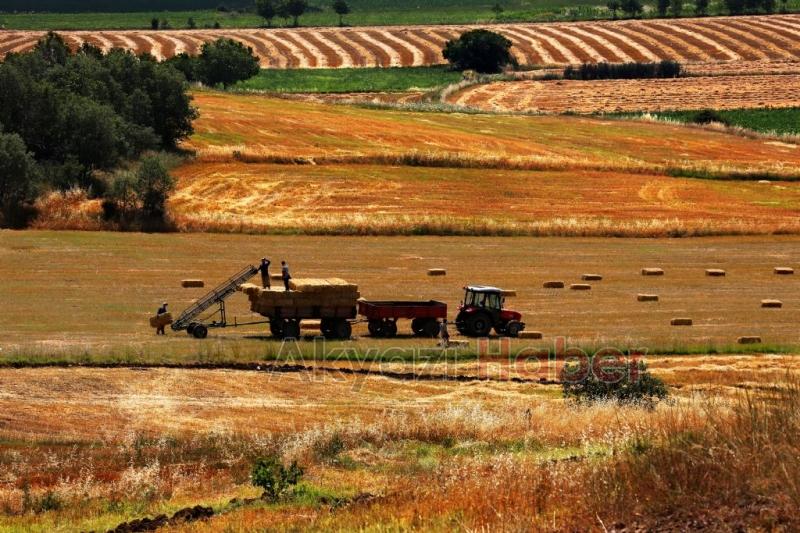 Akyazılı Fotoğrafçıların Başarısı