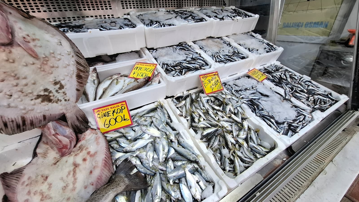 Akyazı’nın En Taze Balıkları Balıkçı Osman’da! Günlük Uygun Fiyatlar Kaçmaz