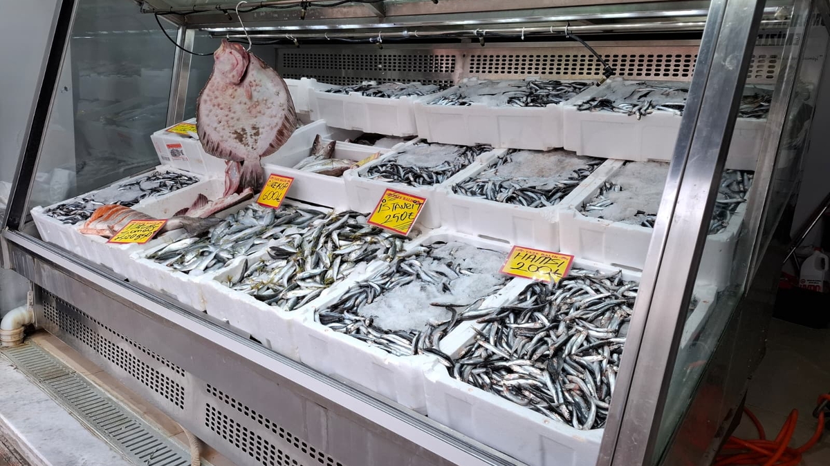 Akyazı’nın En Taze Balıkları Balıkçı Osman’da! Günlük Uygun Fiyatlar Kaçmaz