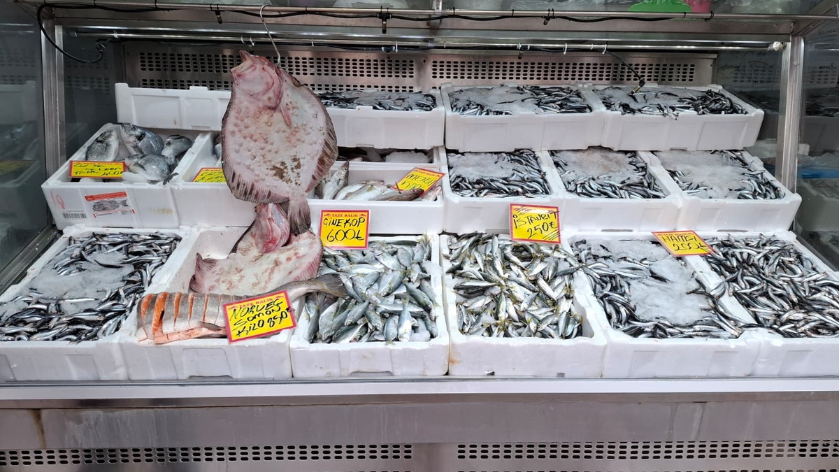 Akyazı’nın En Taze Balıkları Balıkçı Osman’da! Günlük Uygun Fiyatlar Kaçmaz