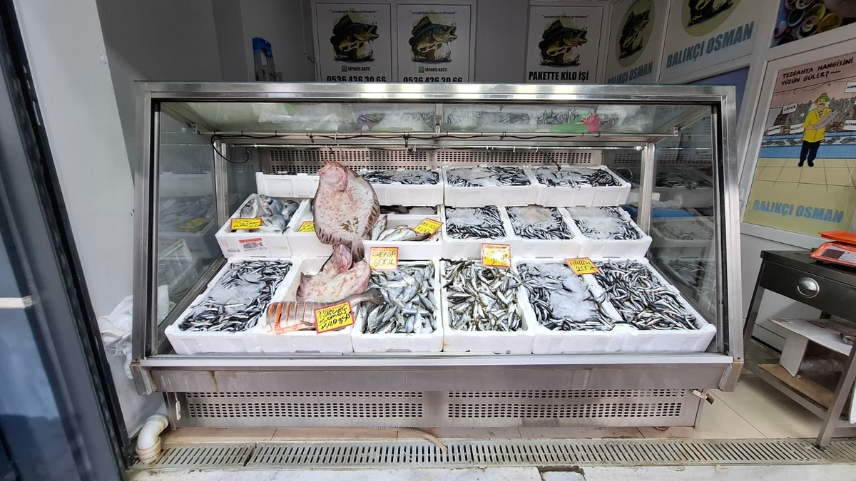 Akyazı’nın En Taze Balıkları Balıkçı Osman’da! Günlük Uygun Fiyatlar Kaçmaz