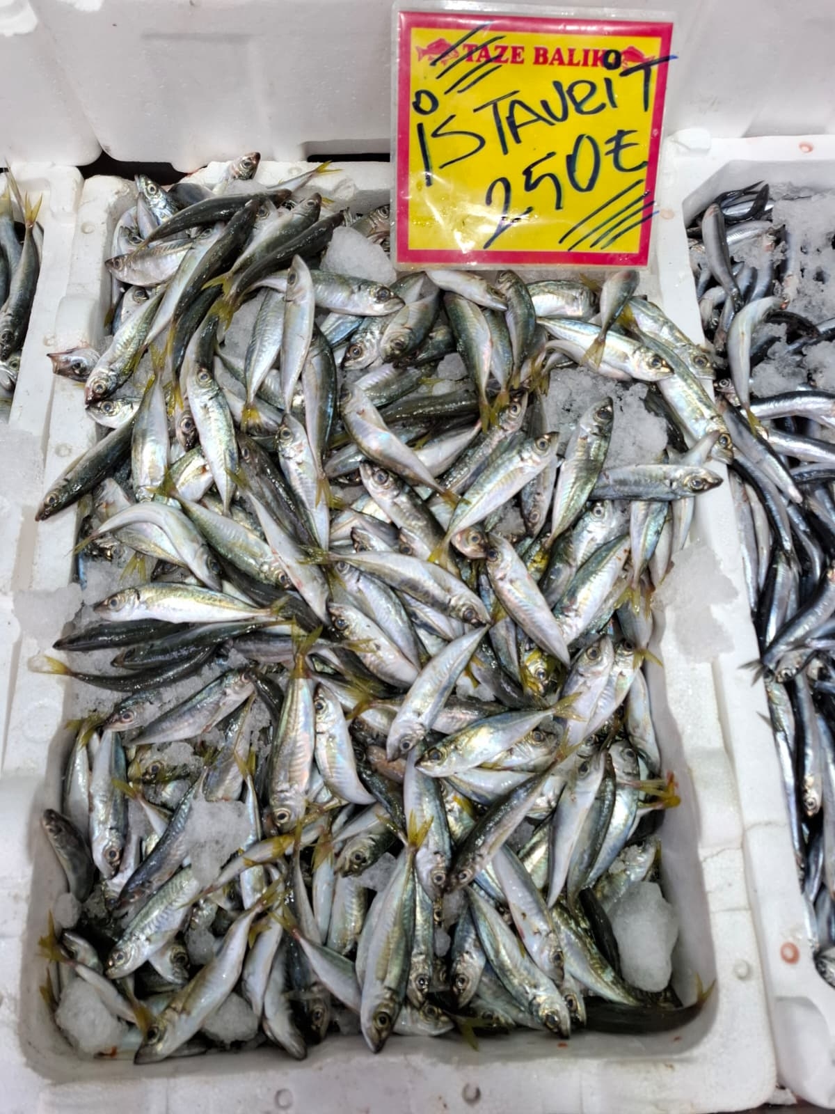 Akyazı’nın En Taze Balıkları Balıkçı Osman’da! Günlük Uygun Fiyatlar Kaçmaz