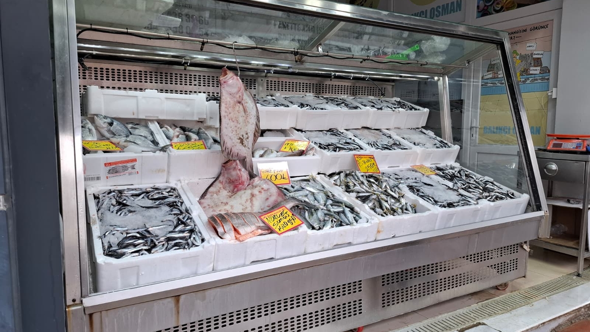 Akyazı’nın En Taze Balıkları Balıkçı Osman’da! Günlük Uygun Fiyatlar Kaçmaz