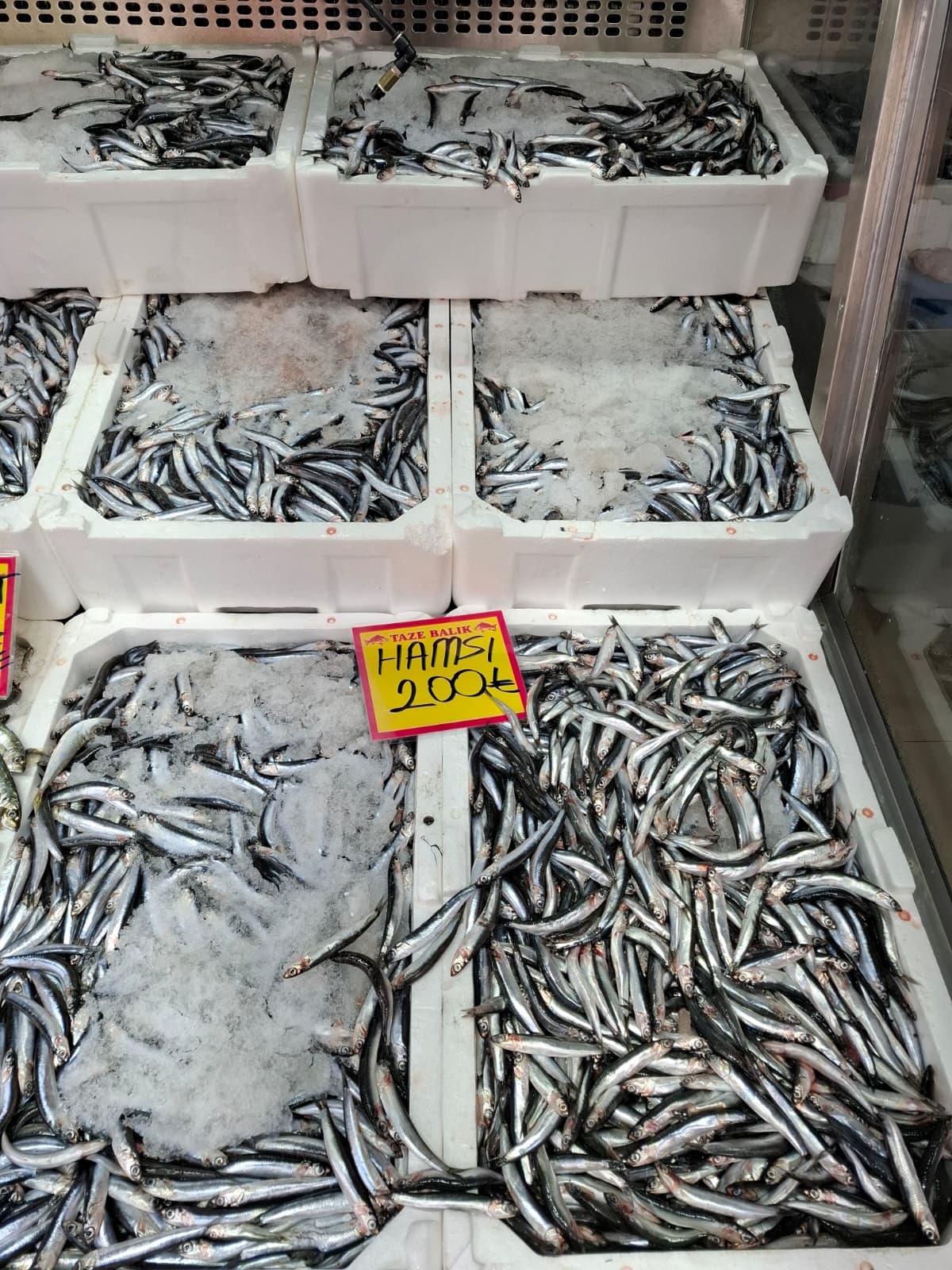 Akyazı’nın En Taze Balıkları Balıkçı Osman’da! Günlük Uygun Fiyatlar Kaçmaz