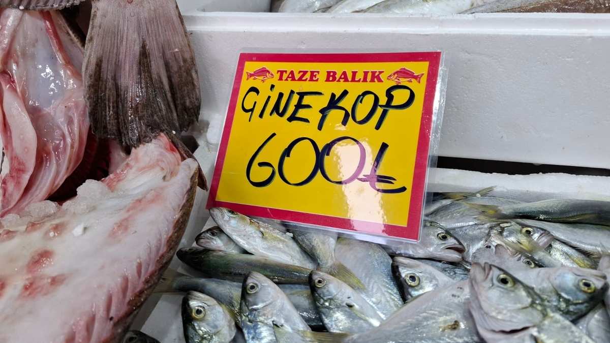 Akyazı’nın En Taze Balıkları Balıkçı Osman’da! Günlük Uygun Fiyatlar Kaçmaz