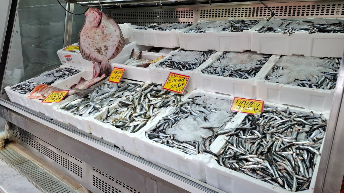 Akyazı’nın En Taze Balıkları Balıkçı Osman’da! Günlük Uygun Fiyatlar Kaçmaz