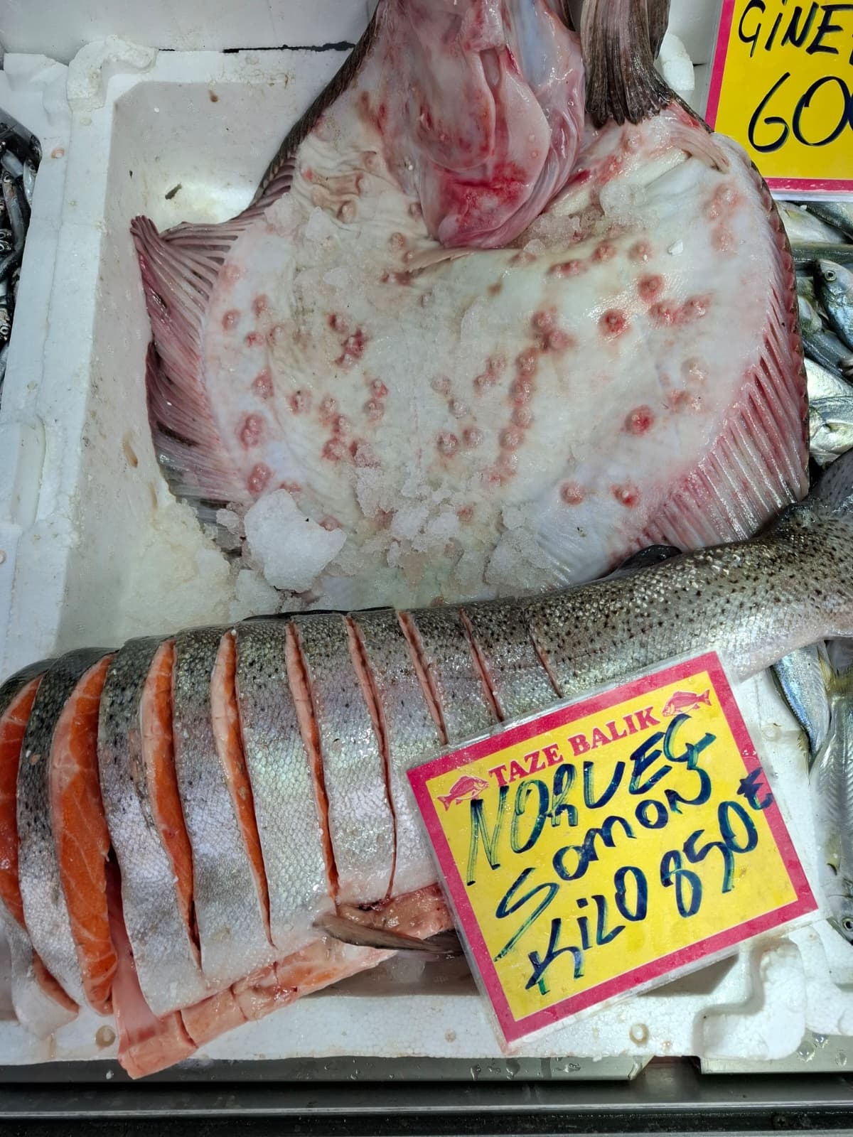 Akyazı’nın En Taze Balıkları Balıkçı Osman’da! Günlük Uygun Fiyatlar Kaçmaz