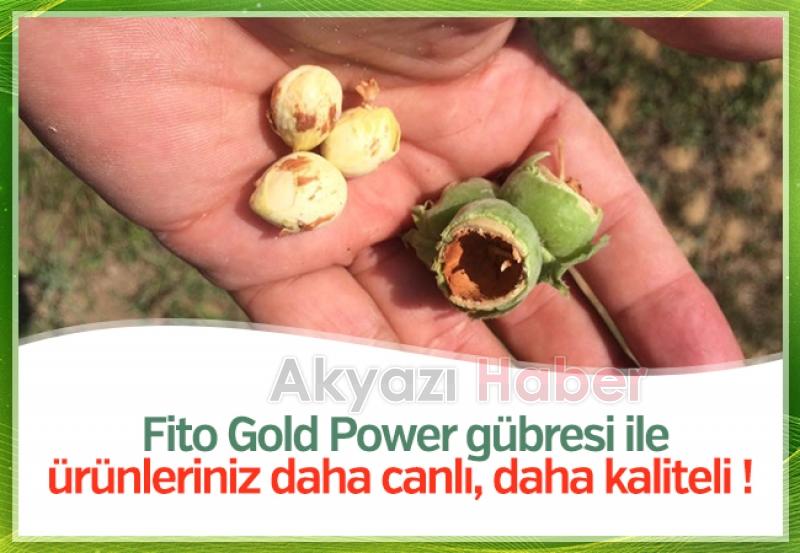 Yılmaz tarım yeni sezonda fındık almaya başladı