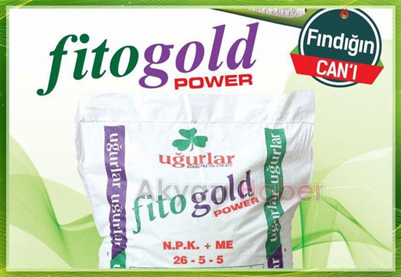 Yılmaz tarım yeni sezonda fındık almaya başladı