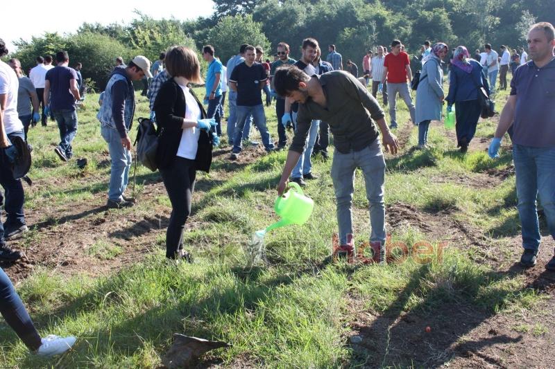 ALİMEX ÇALIŞANLARI FİDAN DİKTİ