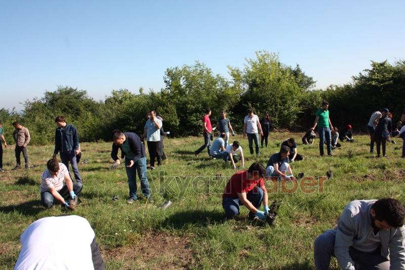 ALİMEX ÇALIŞANLARI FİDAN DİKTİ