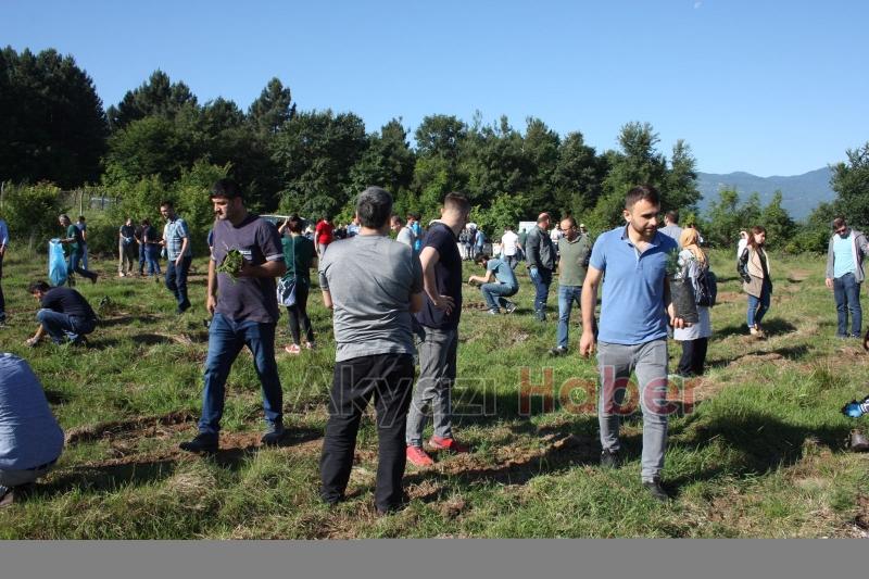 ALİMEX ÇALIŞANLARI FİDAN DİKTİ