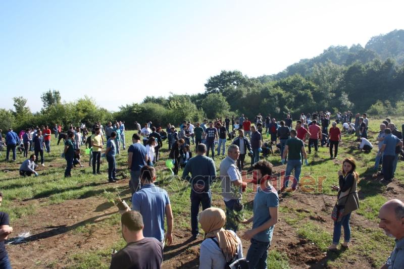 ALİMEX ÇALIŞANLARI FİDAN DİKTİ