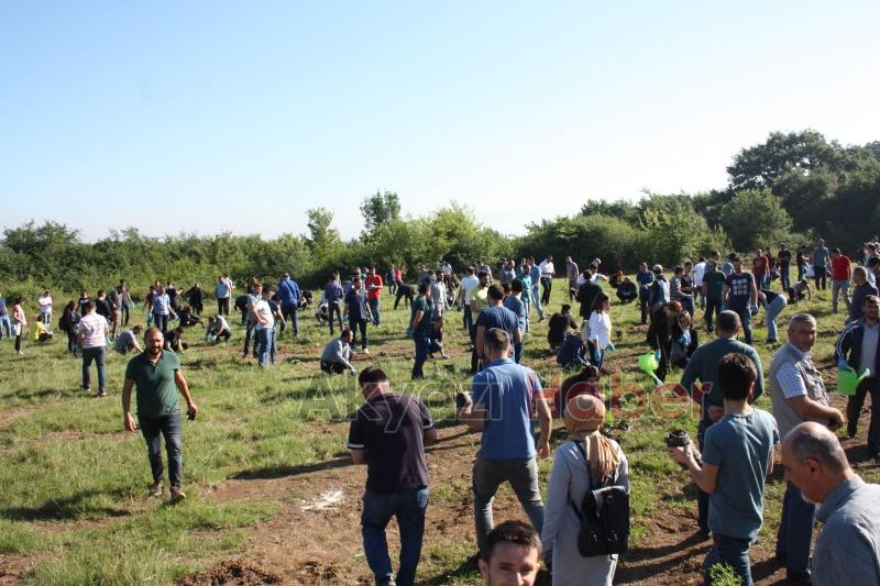 ALİMEX ÇALIŞANLARI FİDAN DİKTİ