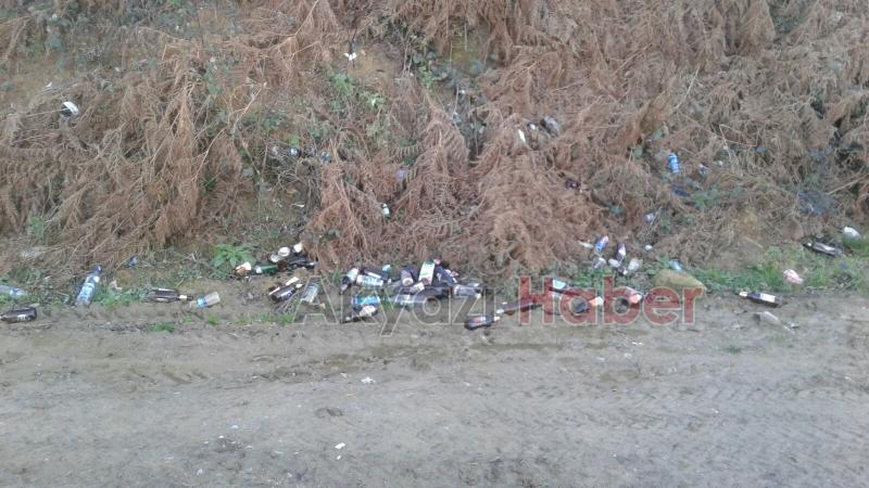 Alkol Şişeleri Çevreyi Kirletiyor