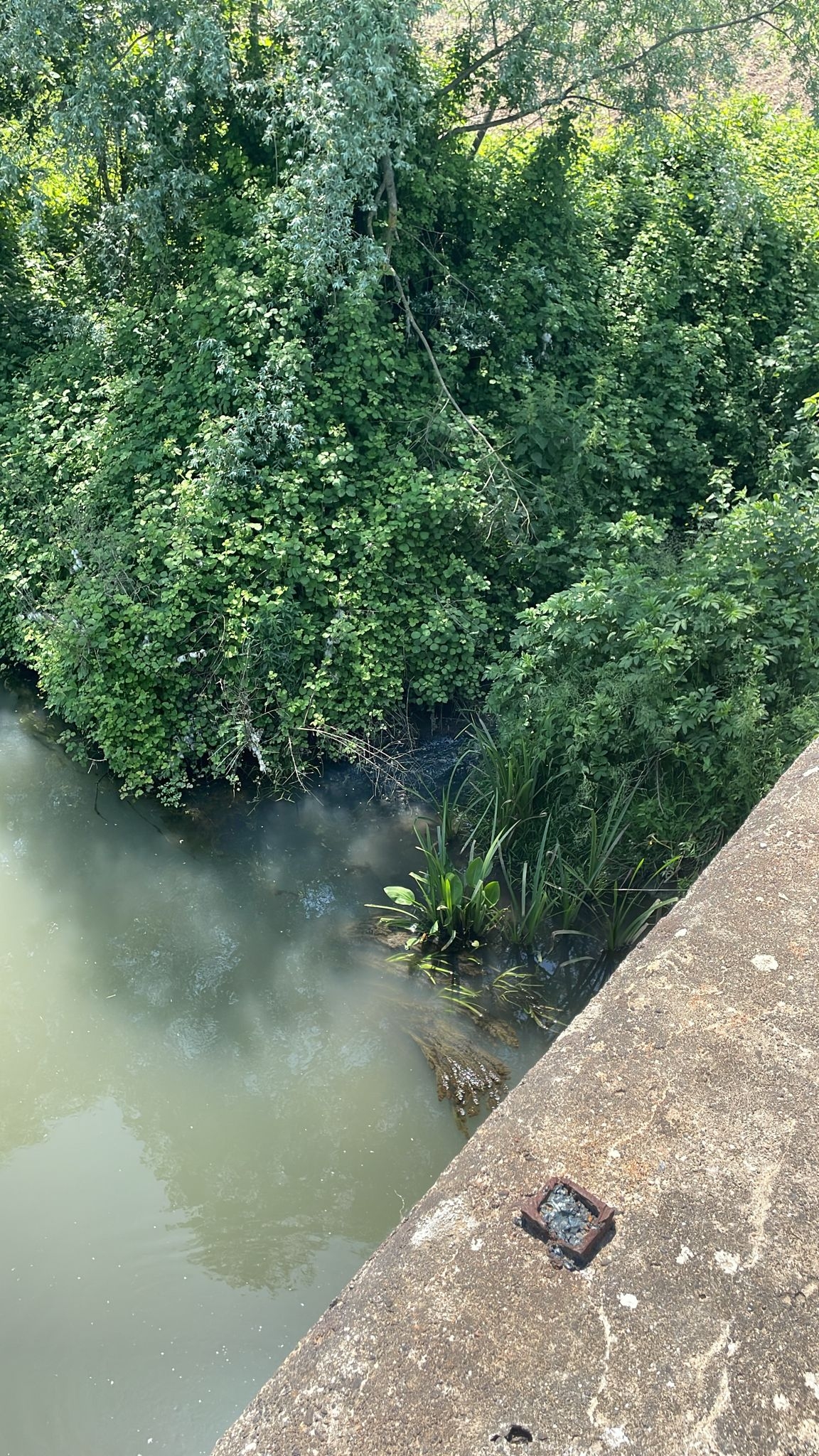 Altındere ve Çamlıca’nın pis suları o dereye akıyor