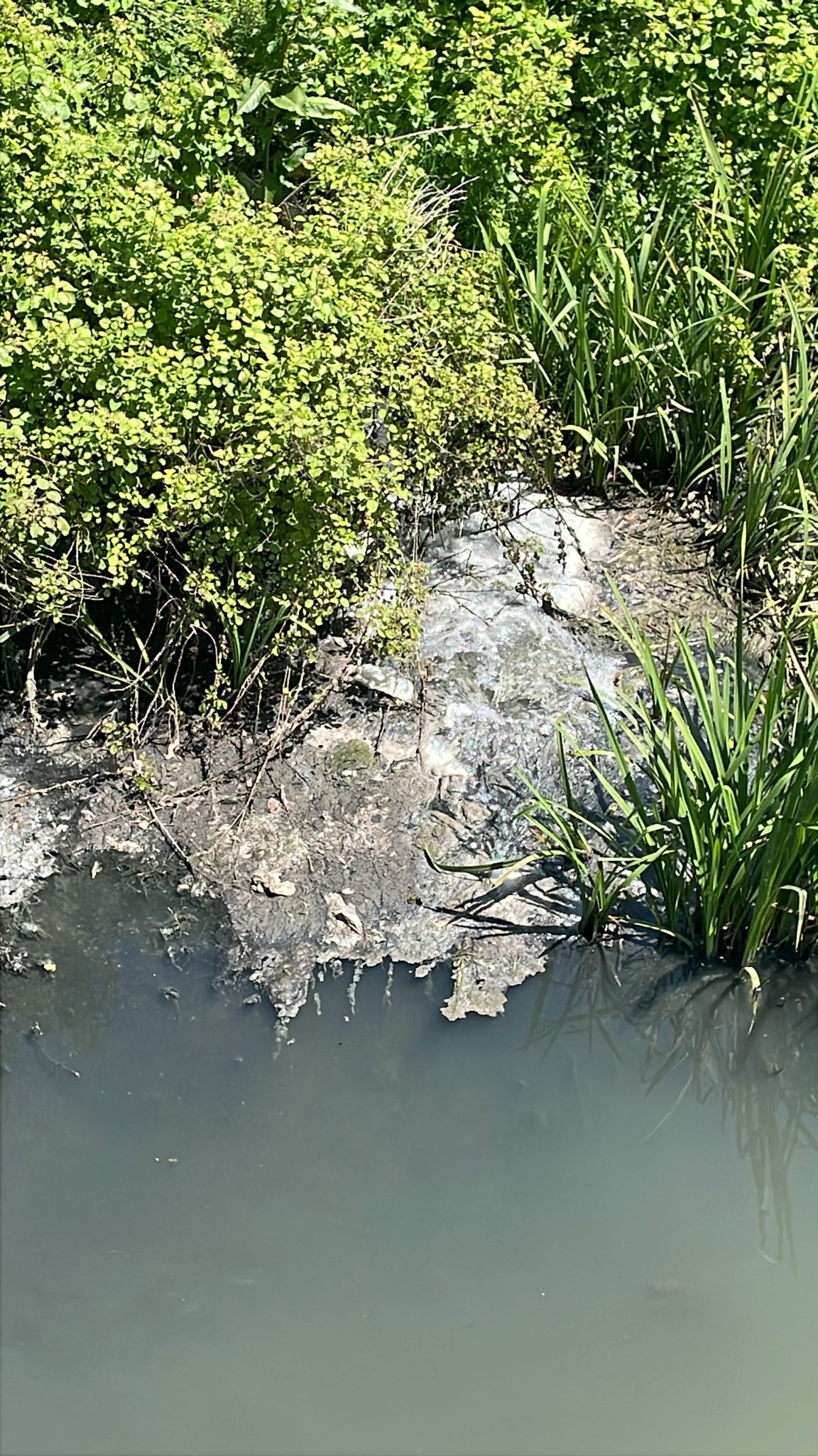 Altındere ve Çamlıca’nın pis suları o dereye akıyor