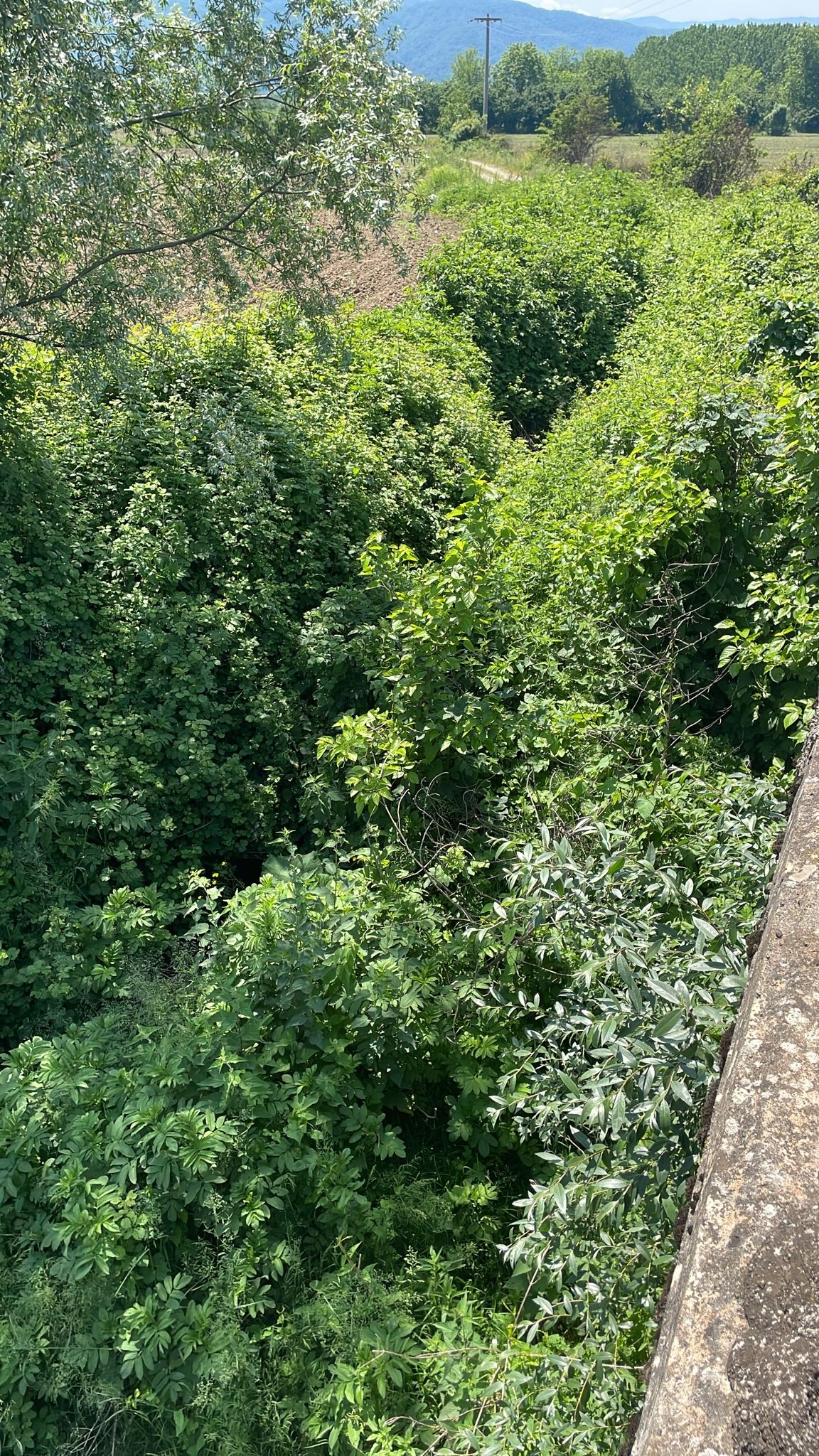 Altındere ve Çamlıca’nın pis suları o dereye akıyor