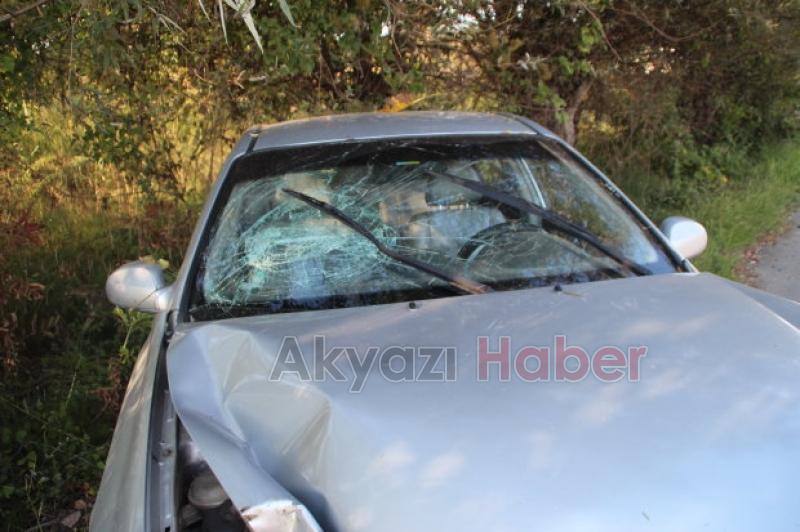  Altındere Yolunda Kaza