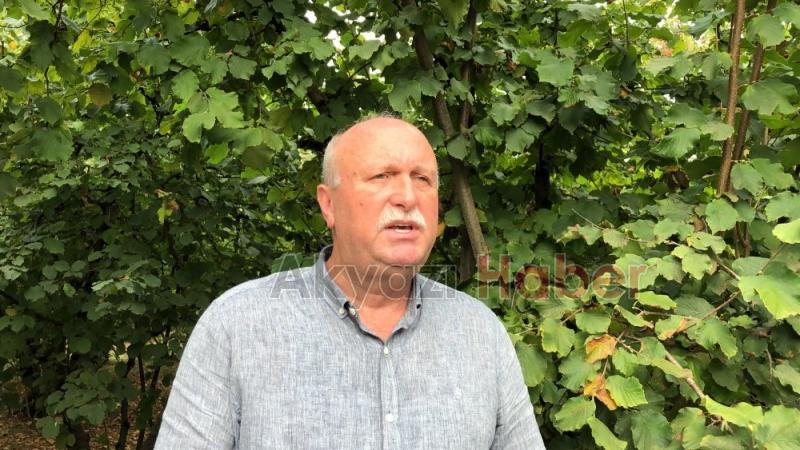 Amerikan beyaz kelebeği Akyazıda yayılmaya başladı