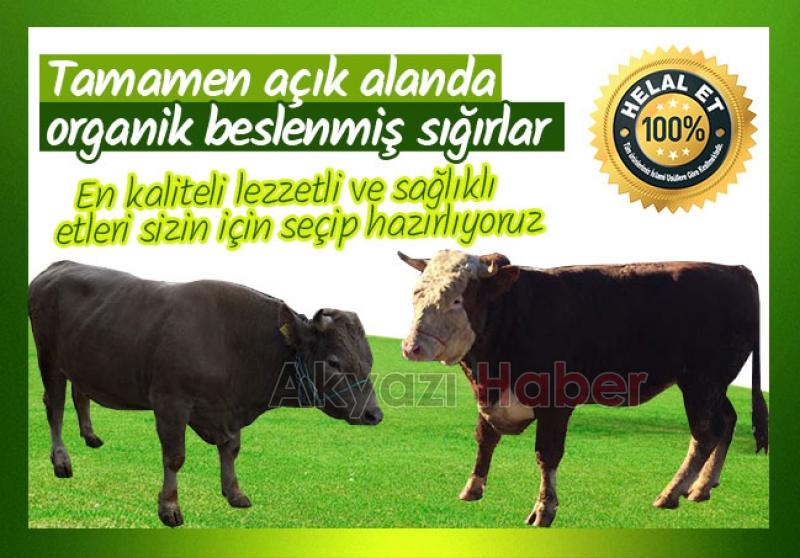 ANADOLU’NUN DAMAK TADINI AYAĞINIZA GETİRDİK