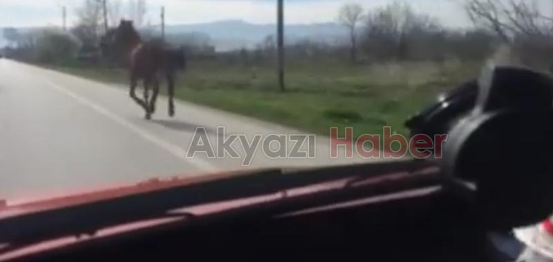  Aniden Önüne Çıkan Köpeğe Çarptı