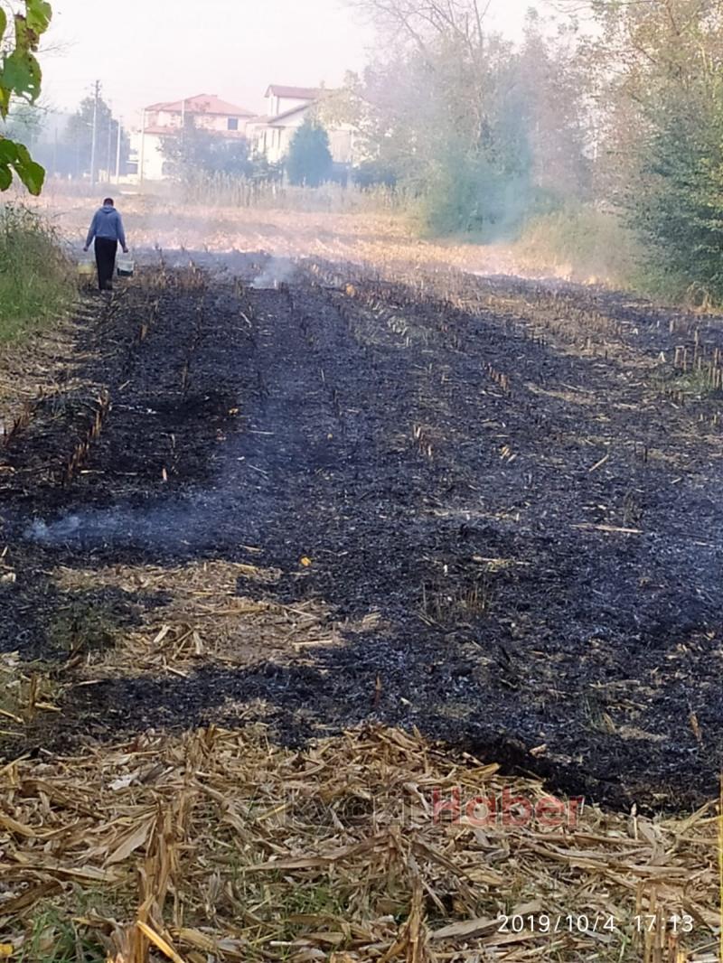 Anız yakanlara para cezası uygulanacak